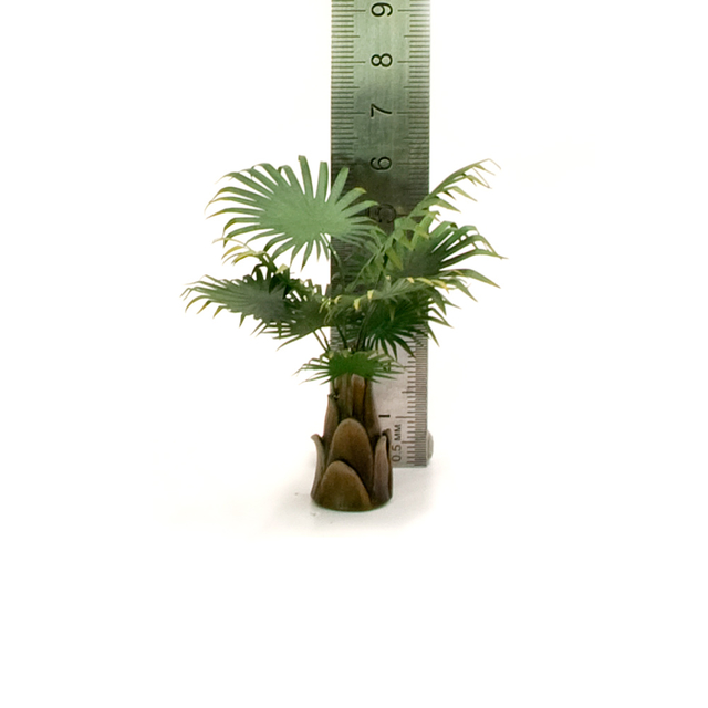 Ствол пальмы Ливистона, размер М, 3шт.